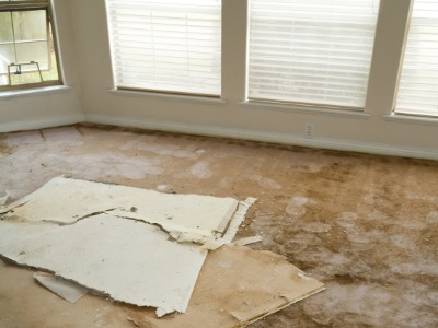 Water damage restoration by PuroClean of San Fernando