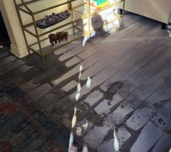 Dry Out Services by PuroClean of San Fernando